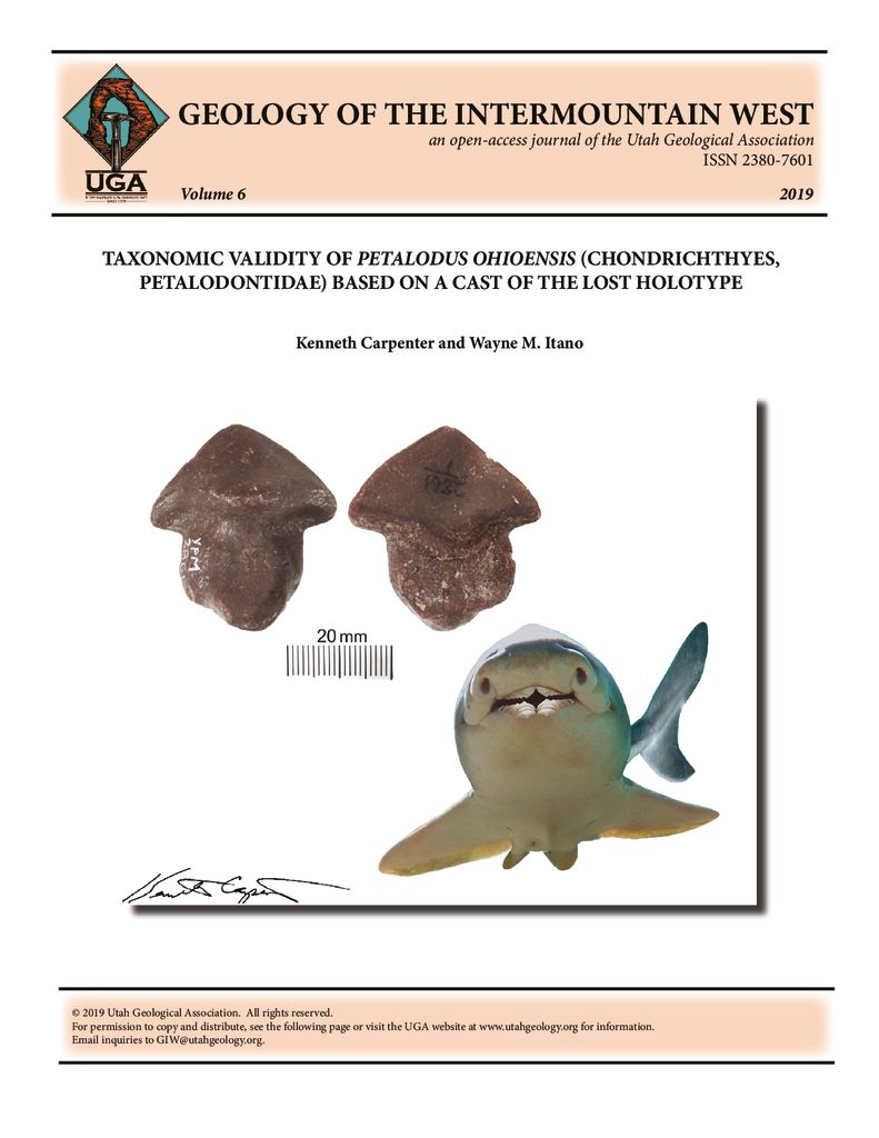Two views of a cast of the long-lost holotype of Petalodus ohioensis Safford, 1853 and hypothetic restoration of the shark. The cast resolves the long historical debate about the validity of this ancient shark tooth species.