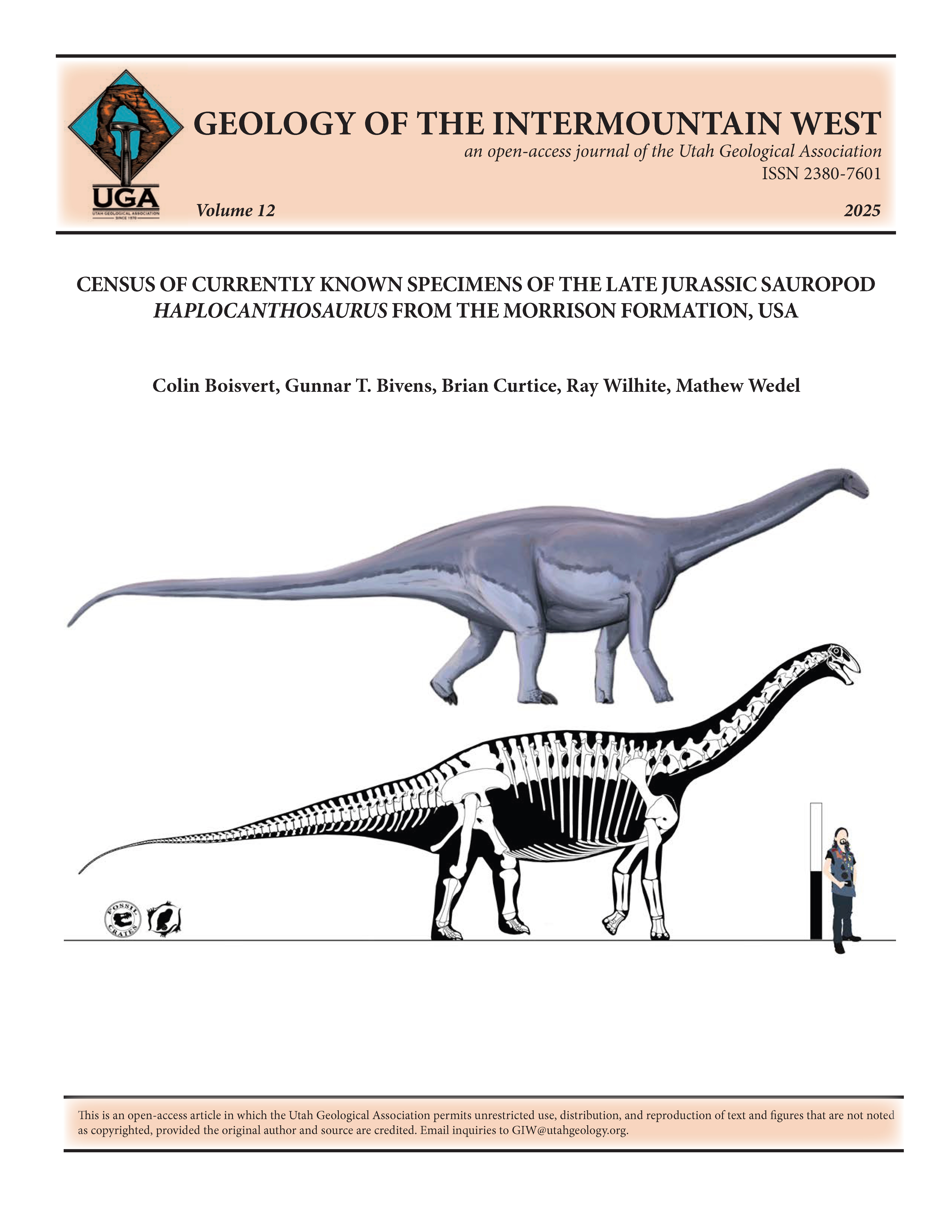 A skeletal reconstruction and life restoration of the enigmatic Late Jurassic Morrison Formation sauropod Haplocanthosaurus (scale is 2 m). Image of skeletal reconstruction is by Gunnar Bivens and image of life restoration is by Jun-Hyeok Jang.