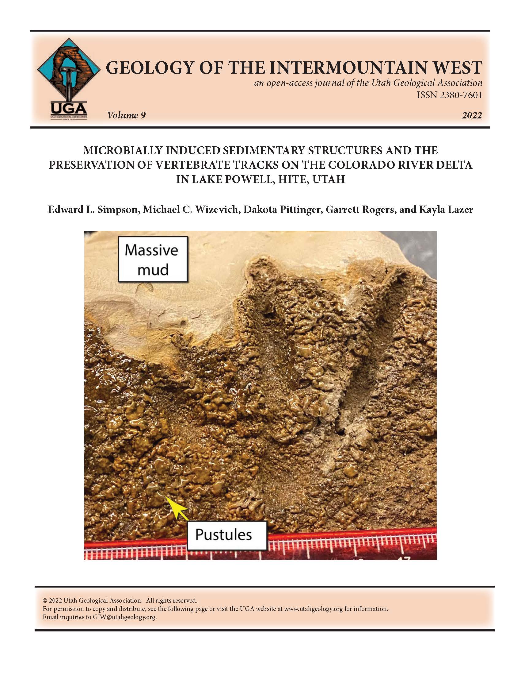 Photograph of preserved Canada goose track preserved in pustular mat. The upper surface is treated with polyurethane (shiny coating on surface) applied in order to facilitate sample extraction. The polyurethane shrank the pustules. Note the massive mud below the track. Scale bar in mm