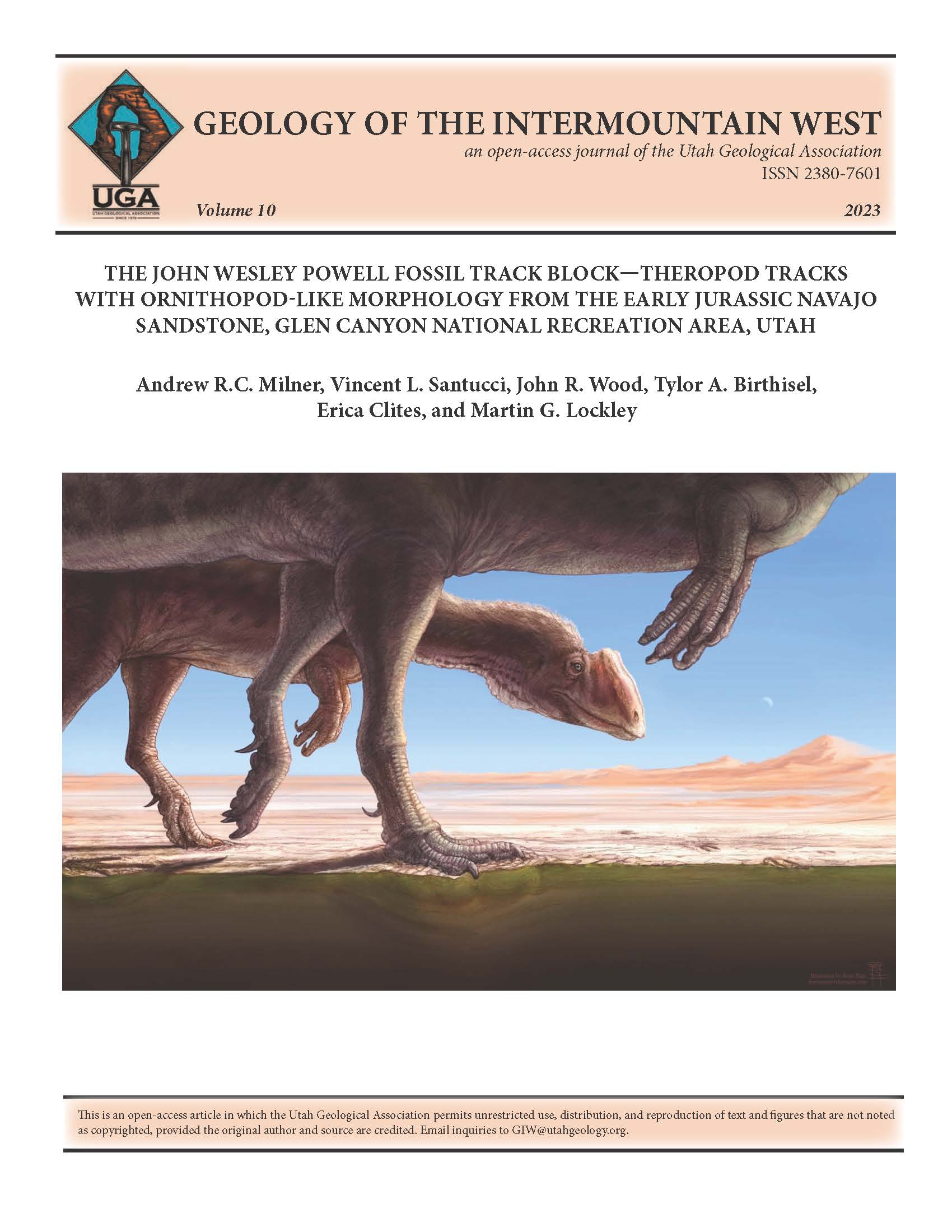 Two hypothetical, Eubrontes-producing theropods walking across a sandy, water-saturated, microbial-matrich interdunal playa during an early phase of the Navajo erg in the Early Jurassic. This restoration was created based on the spectacular undertracks preserved on the John Wesley Powell Fossil Track Block. The ornithopodlike undertracks now visible on the track block were registered in horizons situated below stromatolitic or endoevaporitic layers (represented in green). These undertracks display different morphologies than the true tracks, which would have resembled Eubrontes. Artwork by Brian Engh (dontmesswithdinosaurs.com).