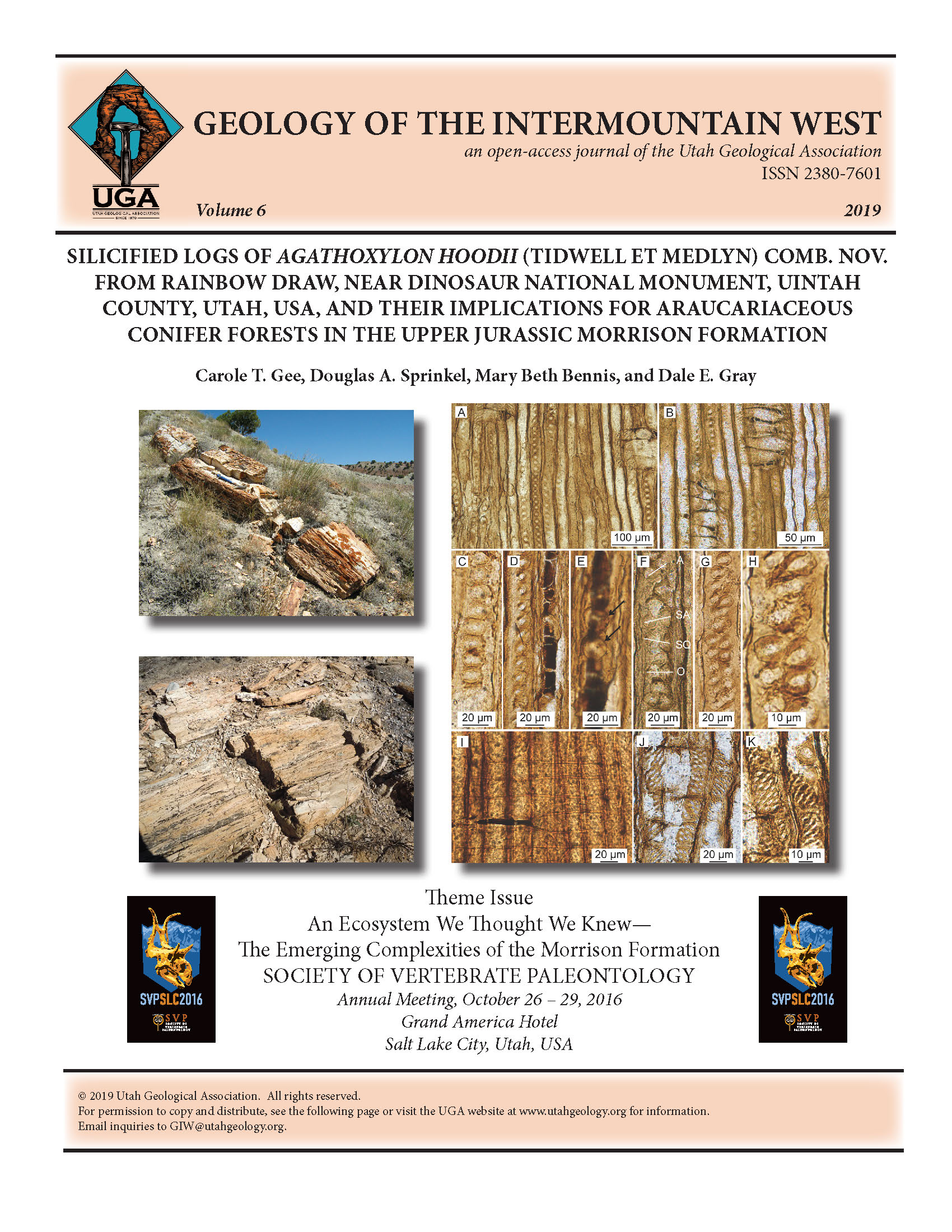Fossil wood thin sections of Agathoxylon hoodii showing fine anatomical details. All micrographs were taken of radial sections of thin section RDW-004. Two photographs of the fossil logs found in Rainbow Draw, Uintah County, Utah.
