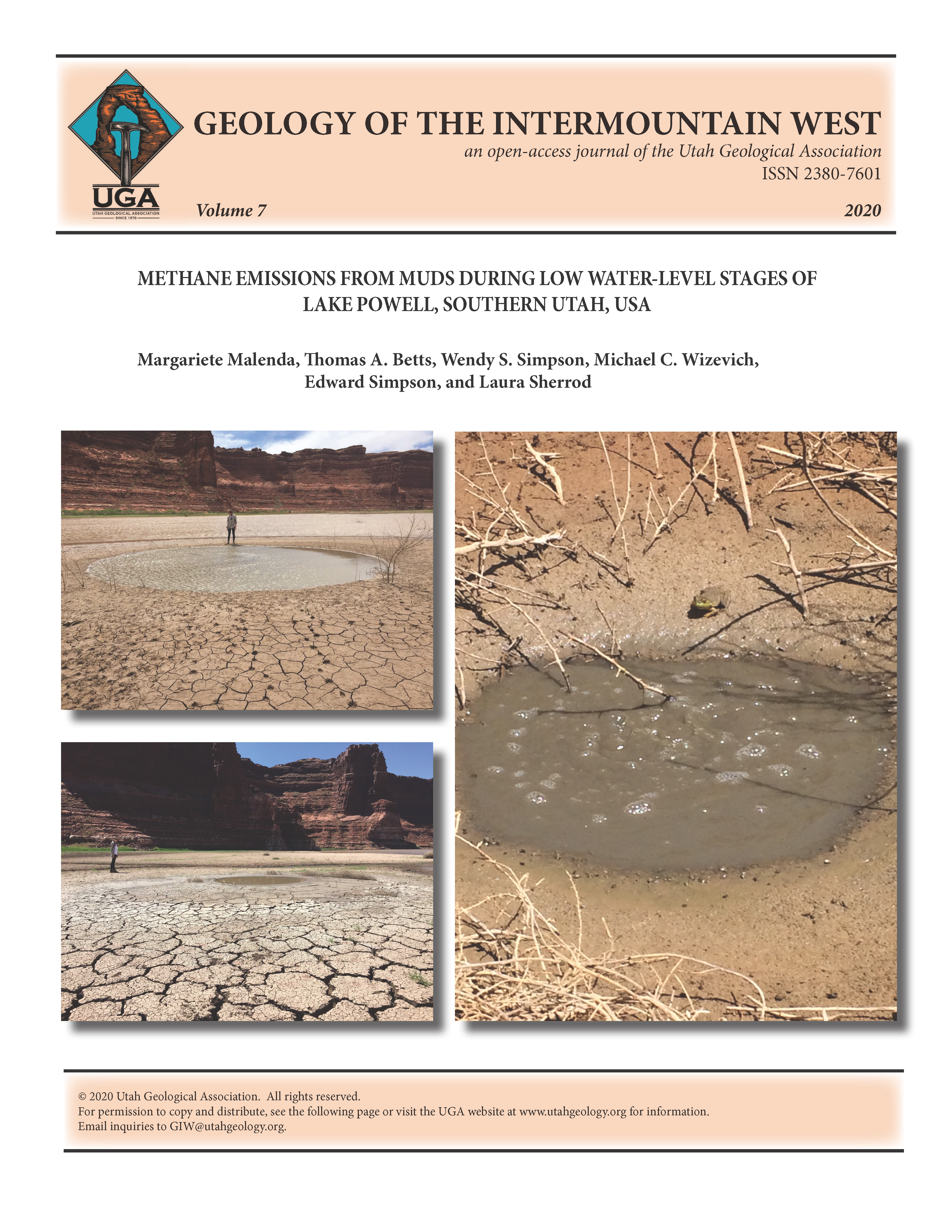 Examples of the fluid-escape features related to lower water levels in the Lake Powell near Hite, Utah. The mud volcanoes range from being extensive (left, with 1.7-m-tall individual) to relatively small in size, such as the bubbling volcano on the right (frog is approximately 5 cm).