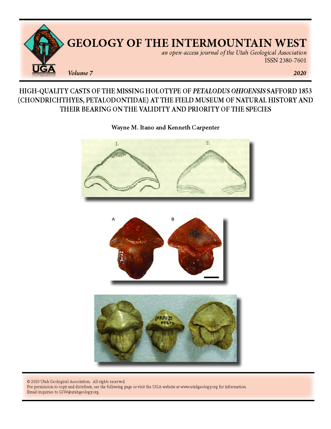 Top: Drawings of (1) the labial (outer) and (2) the lingual (inner) faces of the currently missing holotype of Petalodus ohioensis Safford 1853. From the original description. Middle: (A) labial and (B) lingual views of a cast of the holotype of P. ohioensis from the collections of the Yale Peabody Museum of Natural History. Scale bar = 1 cm. Bottom: Three casts of the holotype of P. ohioensis. Left to right: cast of labial side, three-dimensional cast, cast of lingual side. From th