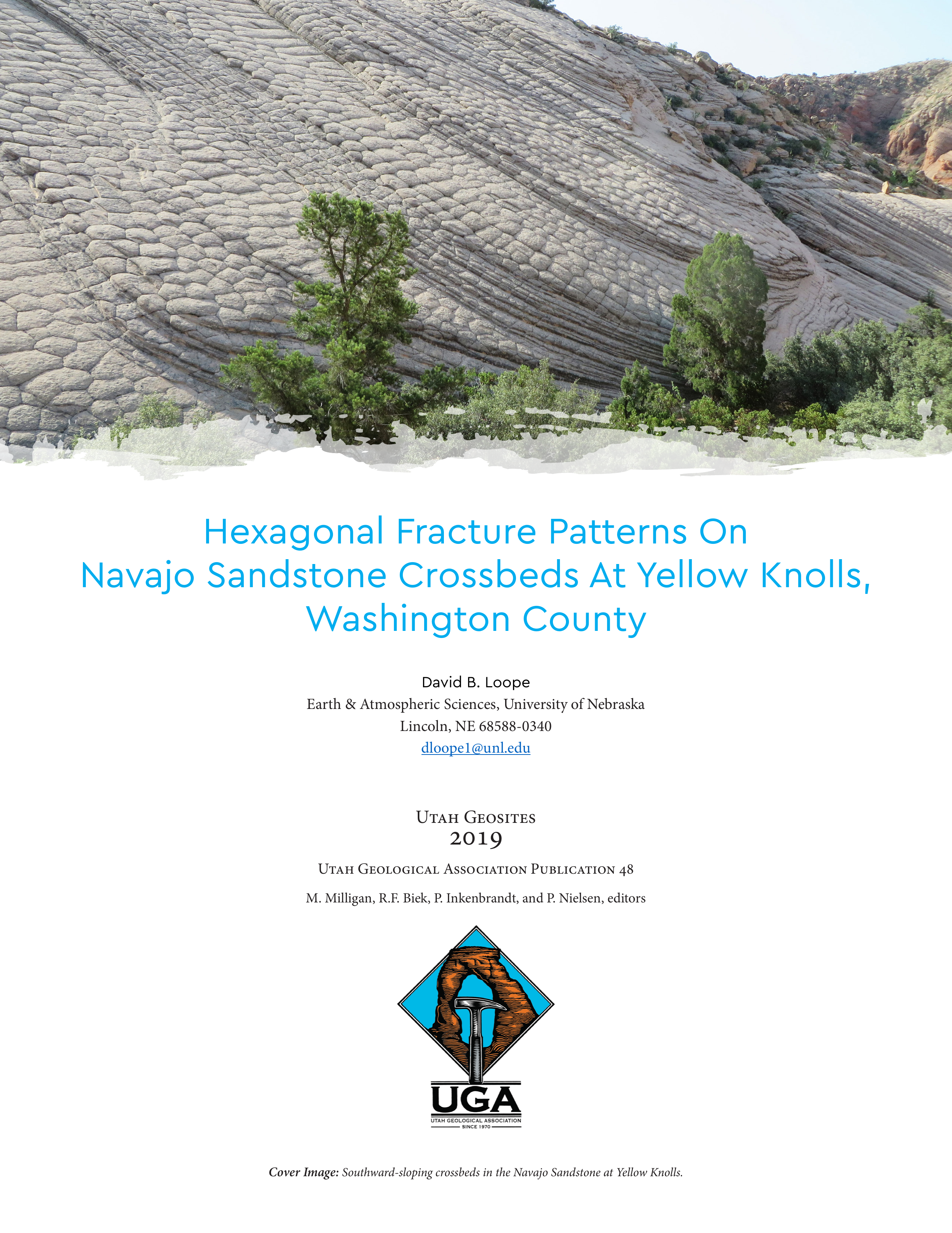 Hexagonal Fracture Patterns On Navajo Sandstone Crossbeds At Yellow Knolls, Washington County